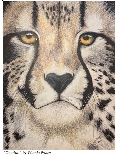 Cheetah