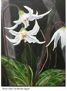 Fawn Lilies