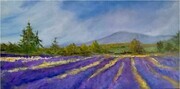 Sacred Mountain Lavender Farm, Salt Spring Island