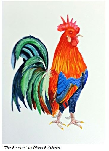 The Rooster